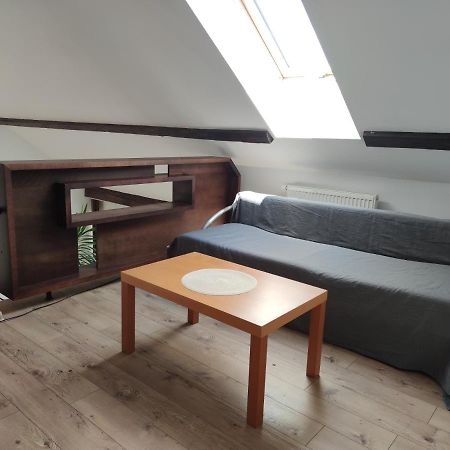 Attic Parkview Apartment Piest'any Exterior foto
